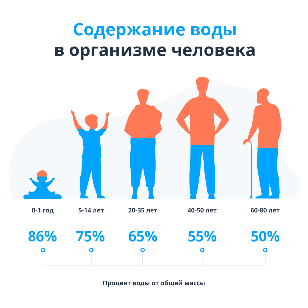 Содержание воды в организме человека по возрасту