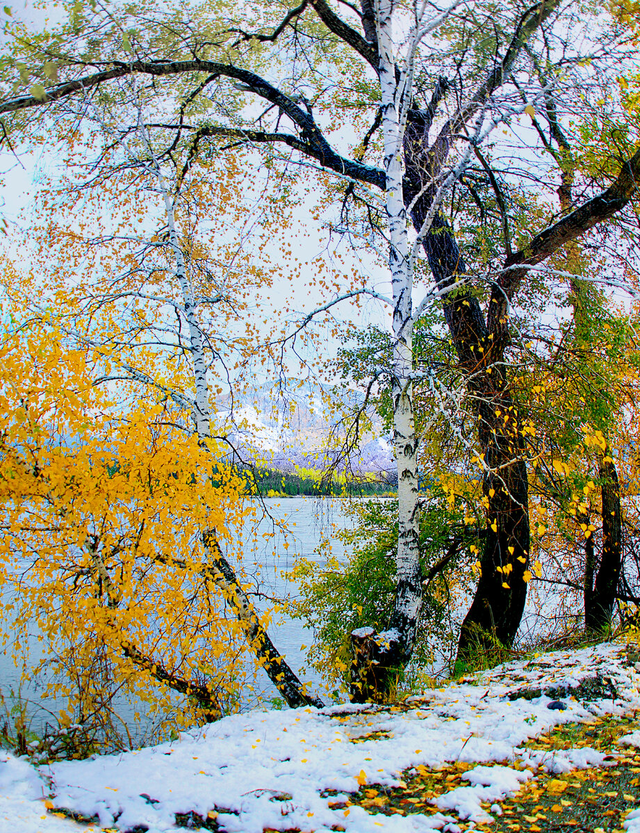 Фотография, стихотворение Василия Глуцкого