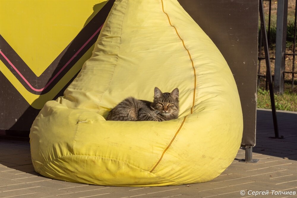 Пока он греется на солнышке