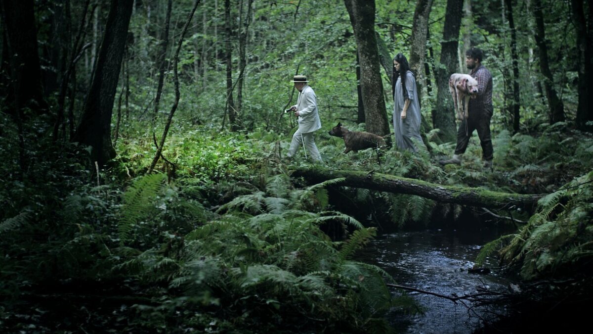 Кадр из фильма «Коко-ди Коко-да» / Koko-di koko-da, 2019, Beofilm