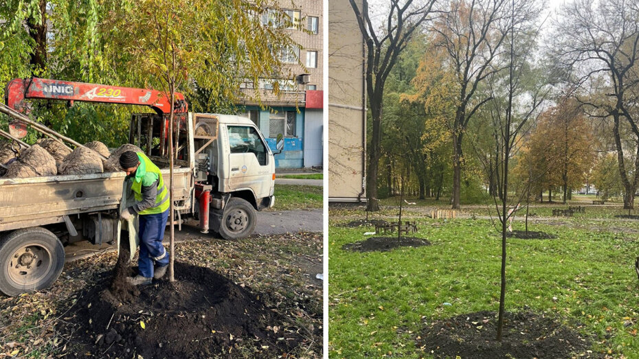   Автор фото: управления экологии администрации Воронежа