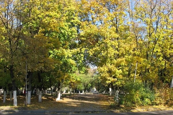 Осенний Новочеркасск. Фото novocherkassk.net.