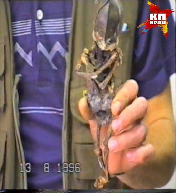 Скриншот из видеозаписи с мумией Кыштымского Карлика.