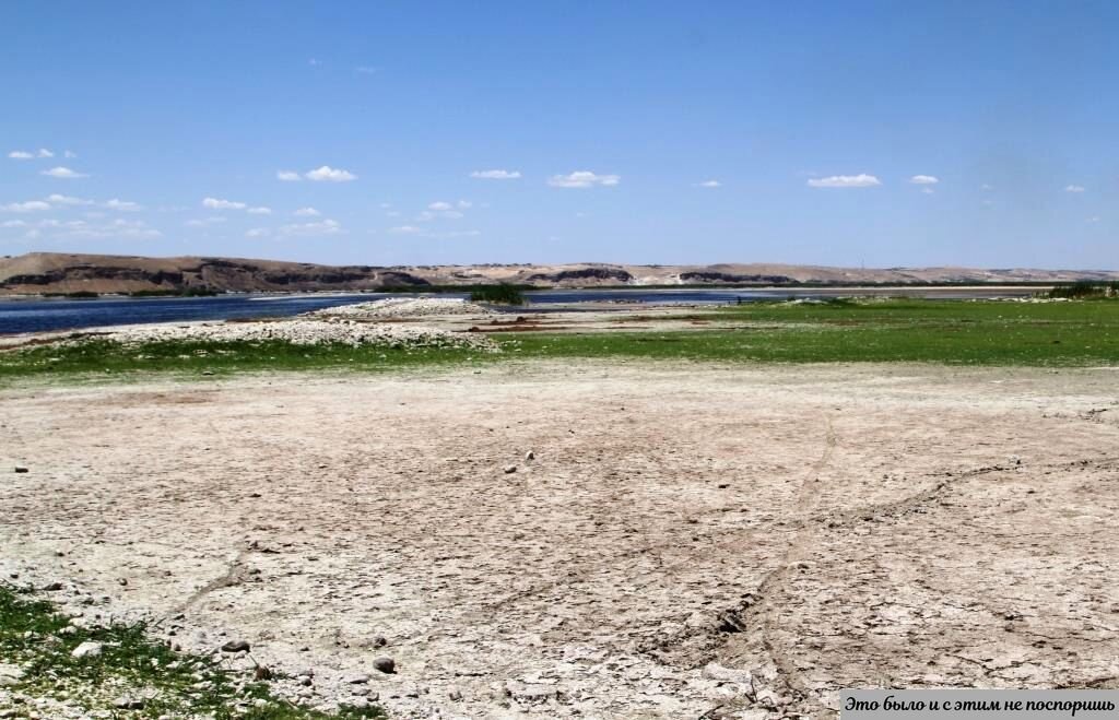 Евфрат в зоне Сирийской степи (окантовывает Восточное Плато). Источник – https://clck.ru/32QV7P 