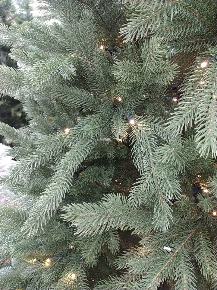     Елена Балуева / "МК в Новосибирске"