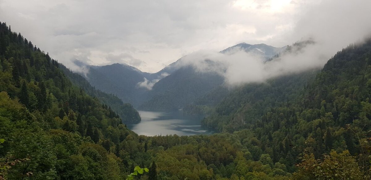 "Если от вас ушла жена, а вы не чувствуете печали, — подождите. Жена вернется, а с ней печаль" (Семён Альтов).