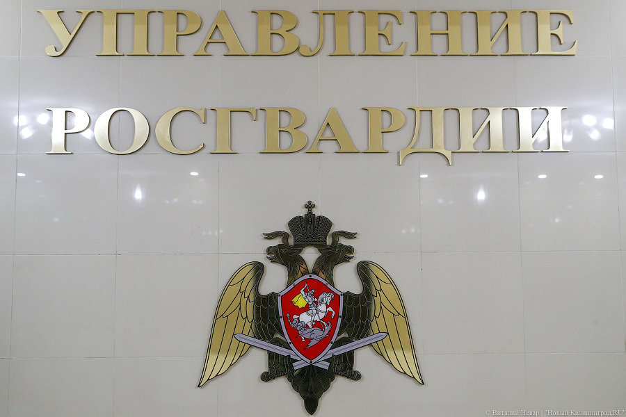 Фото: Виталий Невар / Новый Калининград
