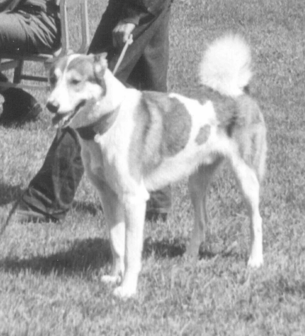 На выставке.