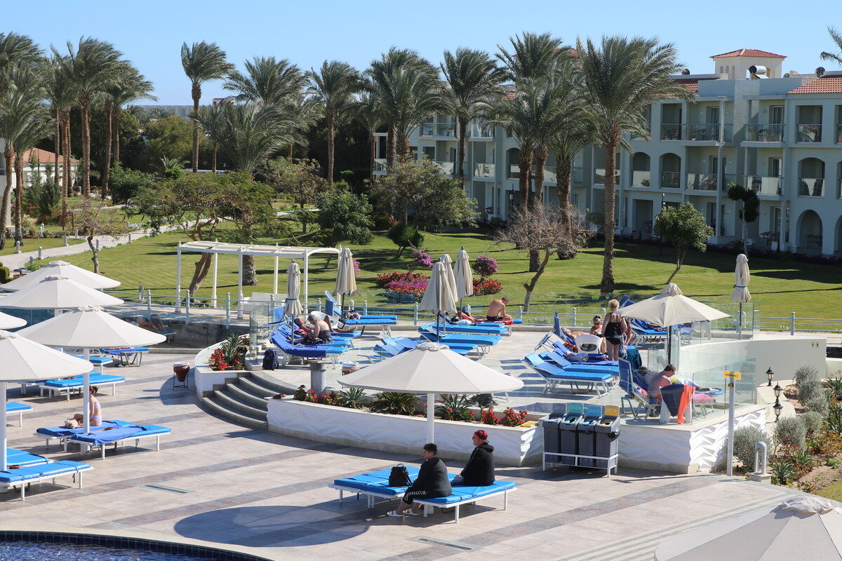 Главным недостатком блогер посчитала стремительно растущие цены.  Фото: © Maksim Konstantinov / Global Look Press / globallookpress.com