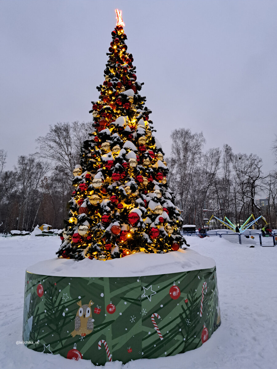 Ёлки в Березовой роще🎄 | Прогулки по городу N. | Дзен