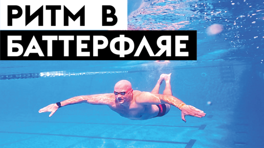 Как плавать баттерфляем. гребок брассом и удар ногами дельфином | Школа ...