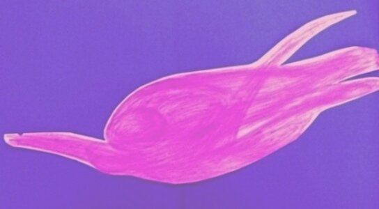 Психографический рисунок "Спасение"