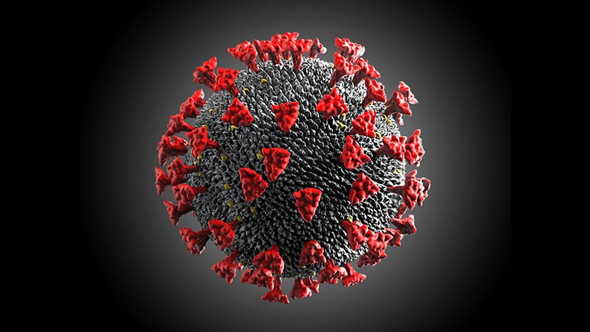 фото вируса под микроскопом.