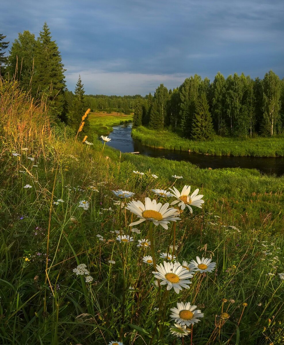 Что может быть лучше