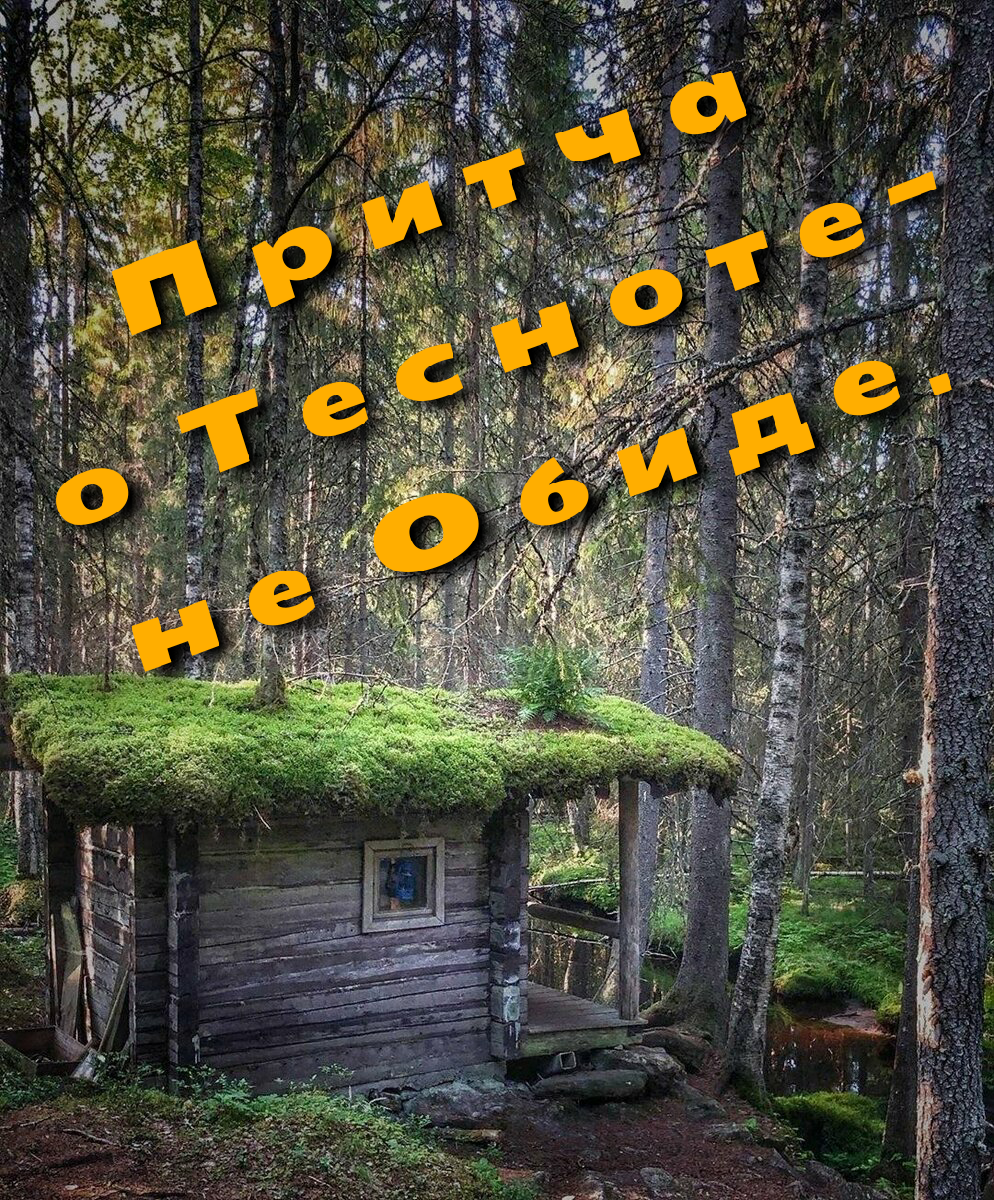 Коллаж автора. 