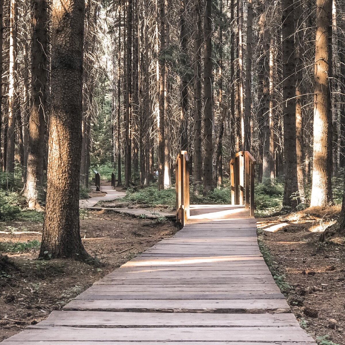 Сама фоткала)