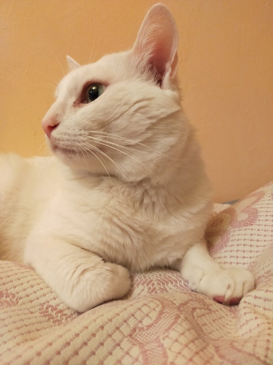 Фото автора канала, Кузьма