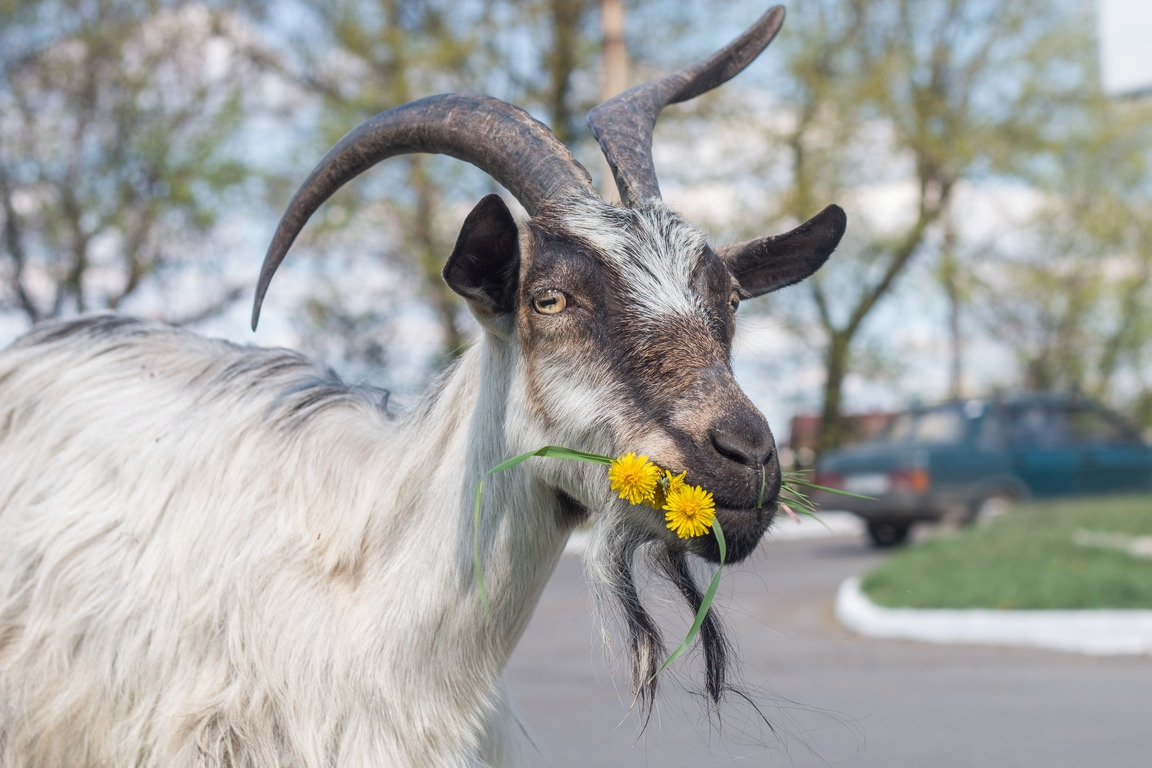 ну и кто он после этого?
