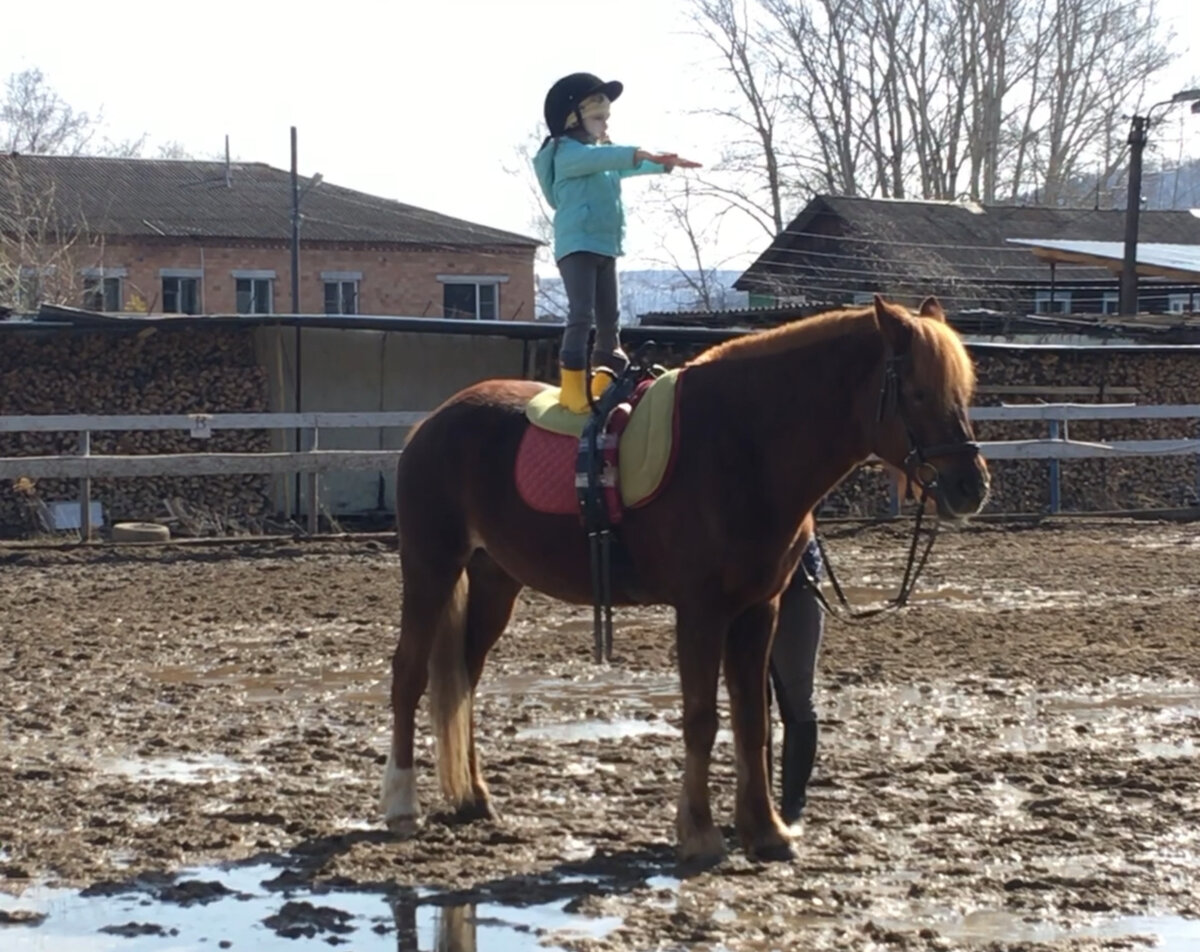 Тренировка по вольтижировке, лошадь стоит на месте.﻿