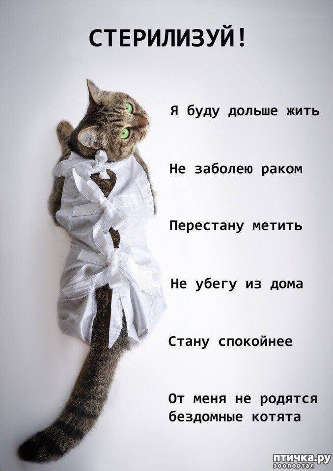 Картинка из открытых источников