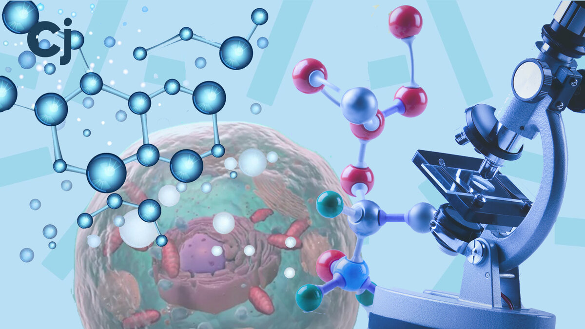 Коллаж Chips Journal