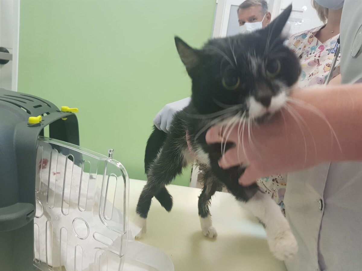 Маркизочка