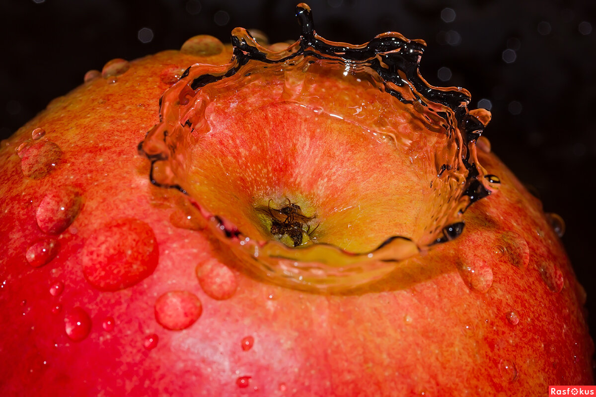 АВТОР ФОТОГРАФИИ: Александр Синдерёв