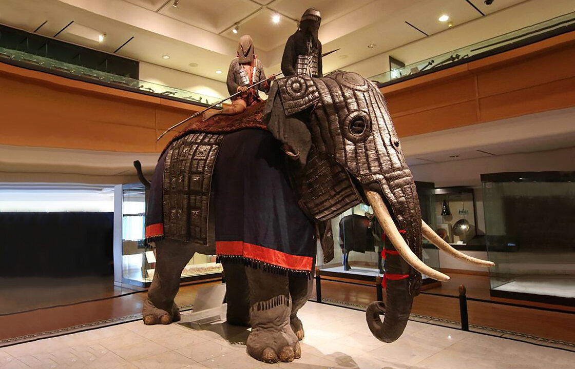 Боевые слоны Индии