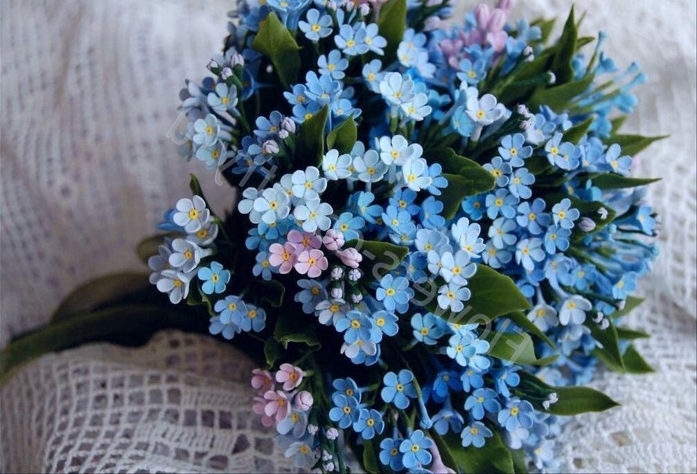 Незабудки /фото_vsecveti.life