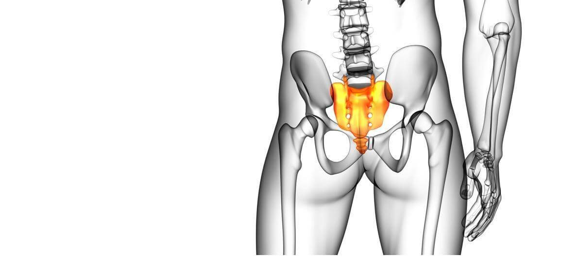 Болит таз мужчины. Кобчик человека анатомия.