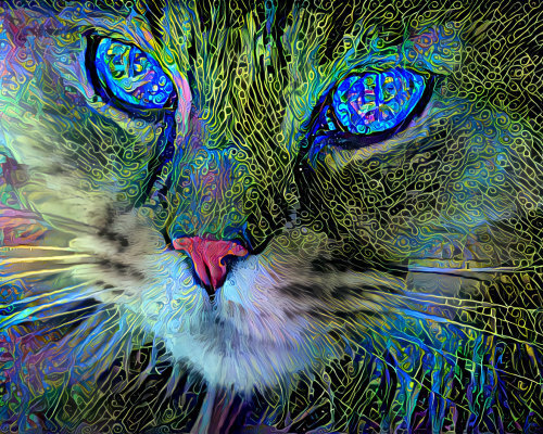 Фото взято из открытого источника