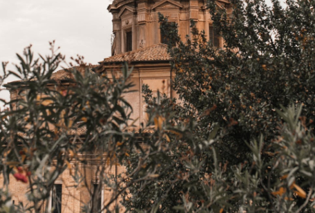 https://www.pexels.com/ru-ru/photo/834908, фотосток