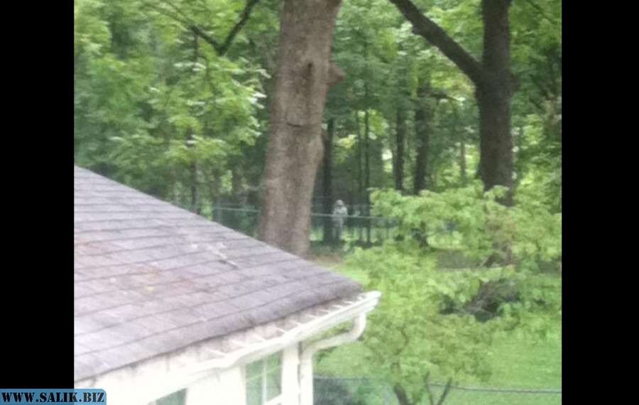 На фото виден предполагаемый призрак.