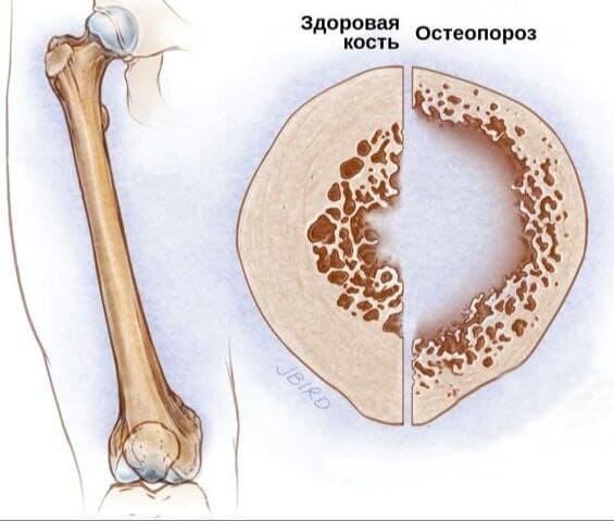 Яндекс.Картинки