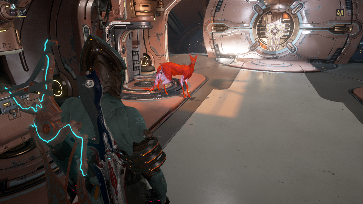 Warframe