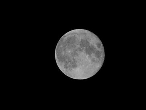                                                       Вид с биноклем