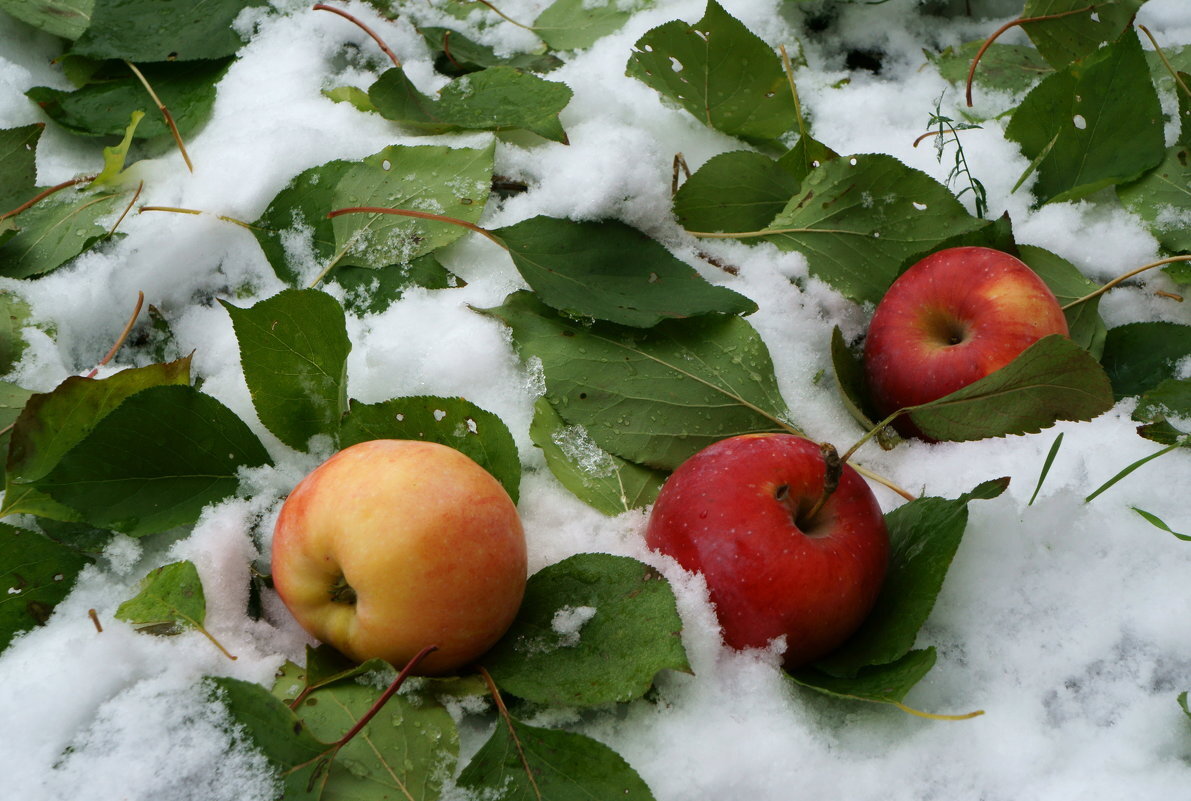 По закону контраста
