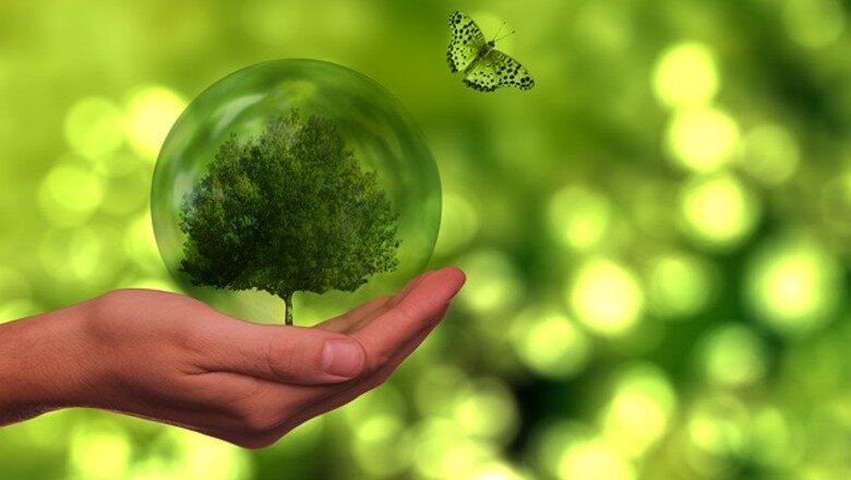 Фото: pixabay.com