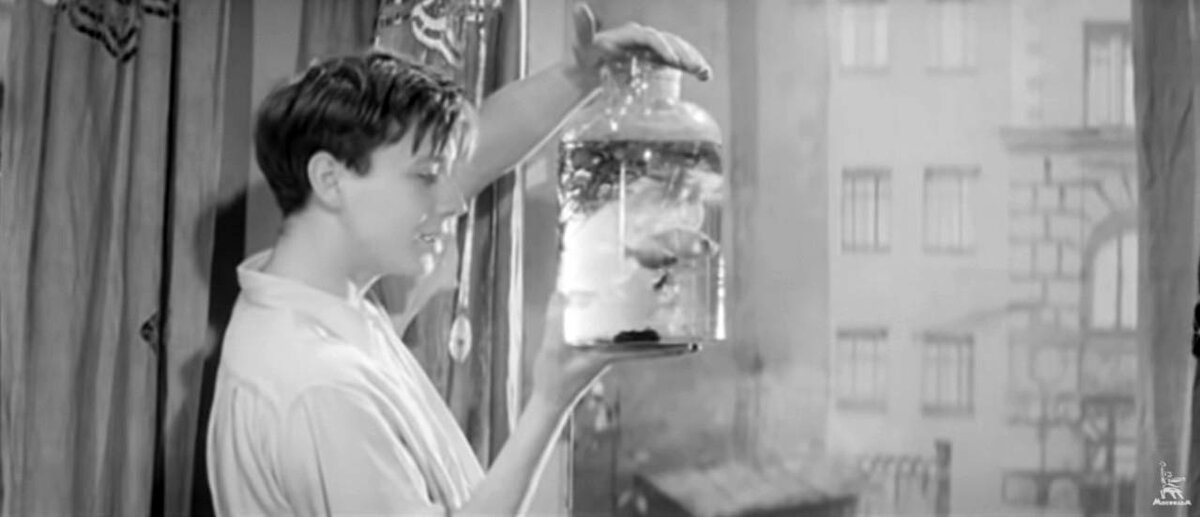 кадр из фильма