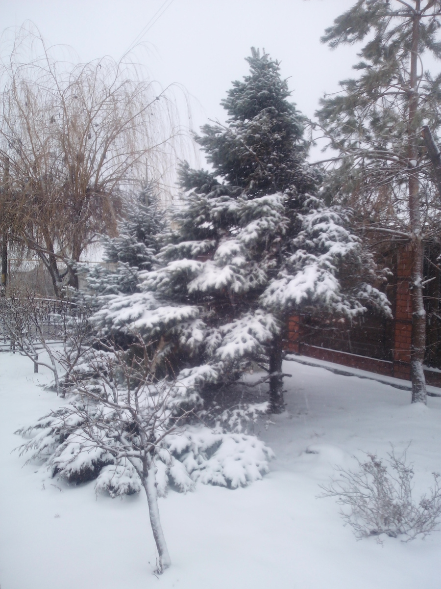 Снежная красота