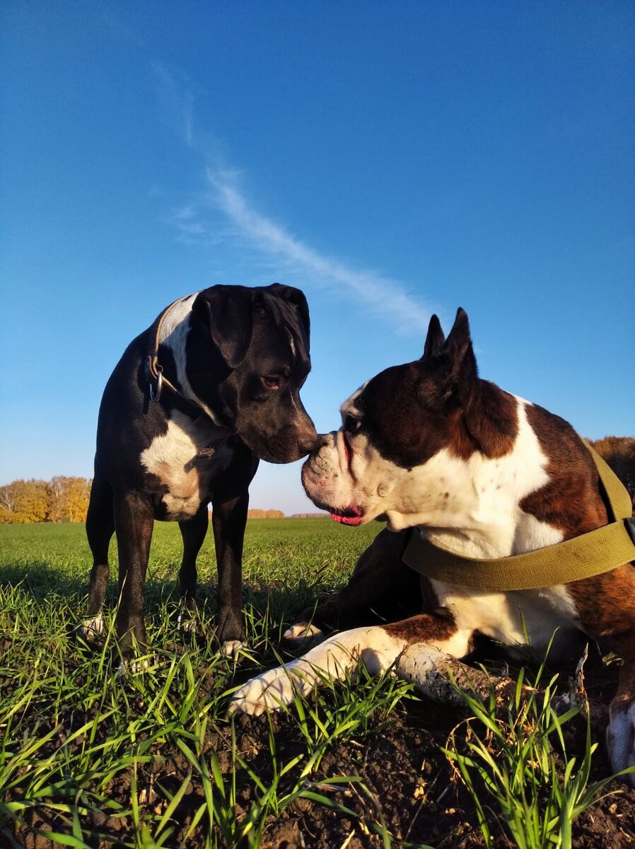 С друганом Флошей