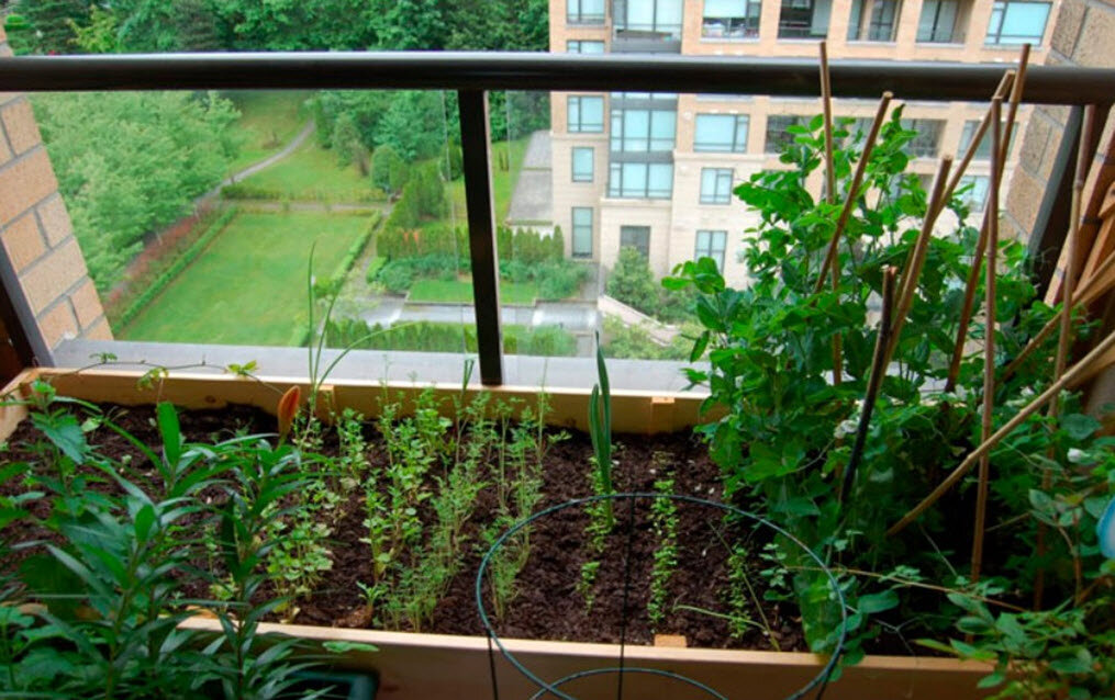 Источник фото - https://1-co.ru/wqW5m