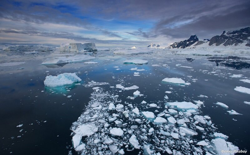 Картинка свободно взята в сети Интернет