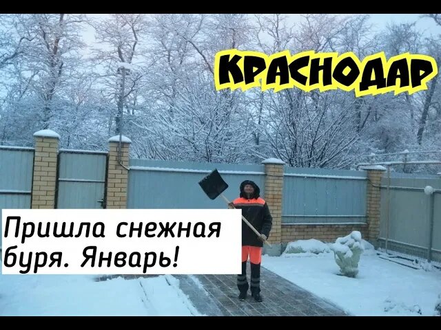 На Краснодар пришла снежная буря. Собственное фото.