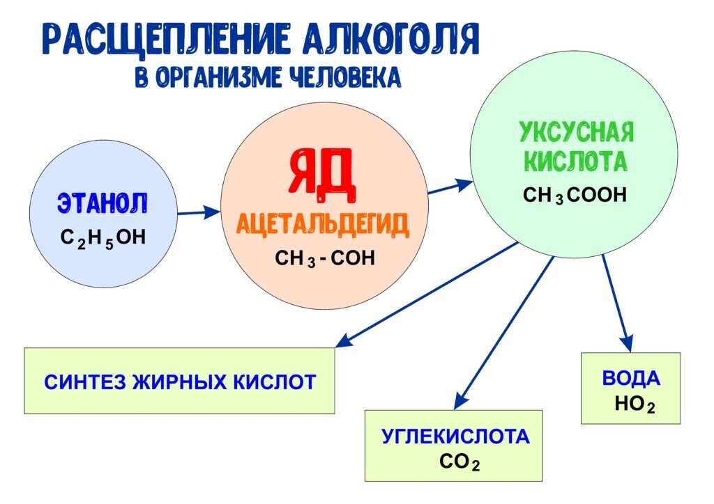 Алкоголь в крови человека таблица Лечение алкогольного отравления в Москве Клиника доктора Шурова Дзен