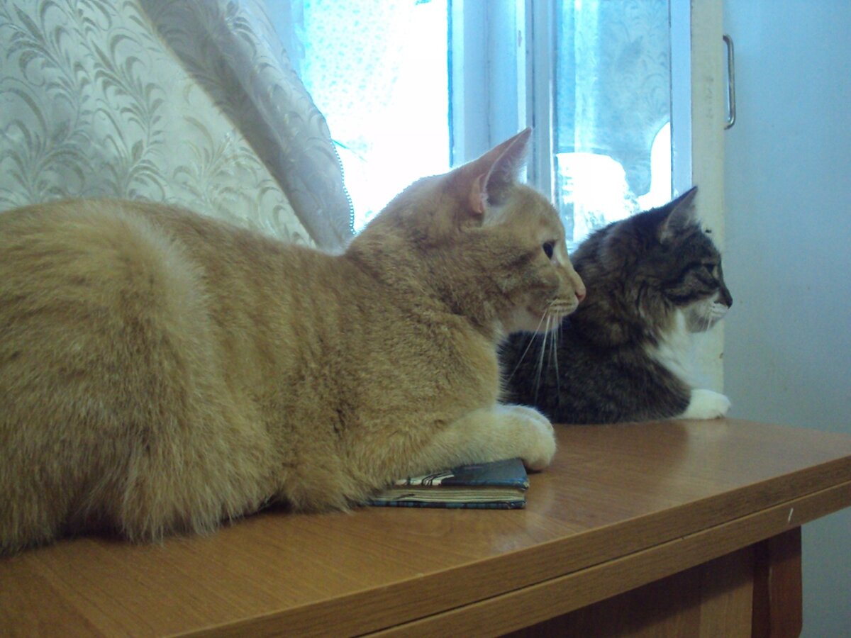 фото из архива автора