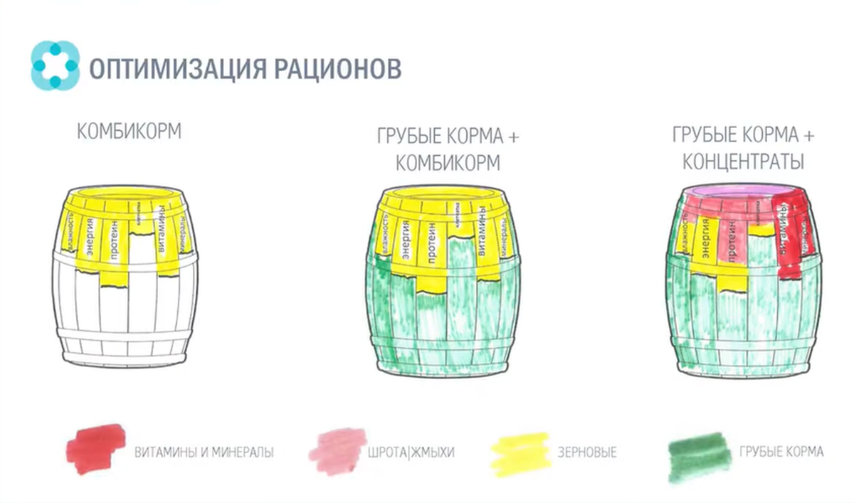 Секреты кормления. Часть 1 - Оптимизация рационов КРС | Мустанг. Технологии  кормления | Дзен