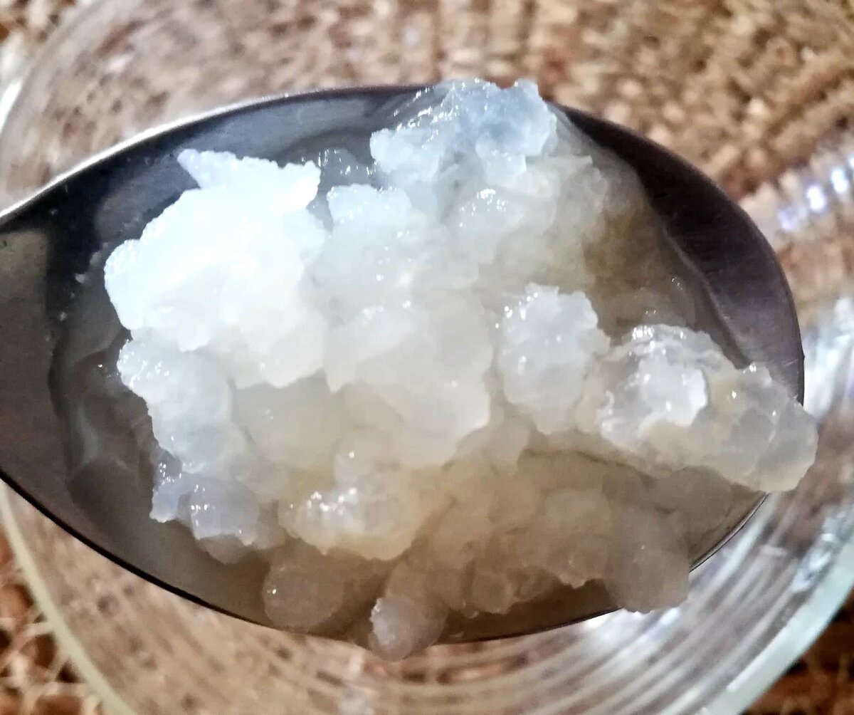 Необходимый ингредиент напитка похож на рис (фото автора)