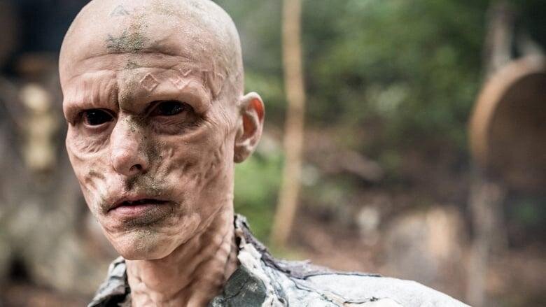 Жрец-друид в сериале «Британия»