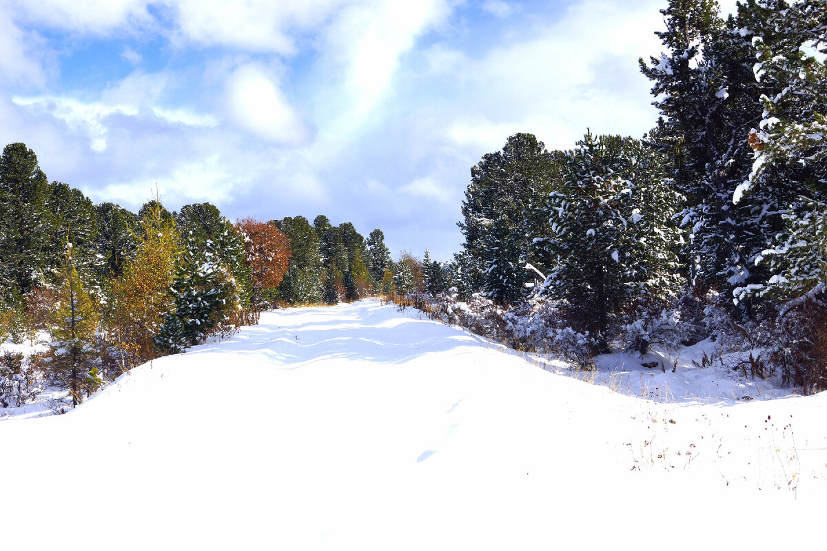 Фотография из фотоархива Нагорного Алексея и Светлой Лилии